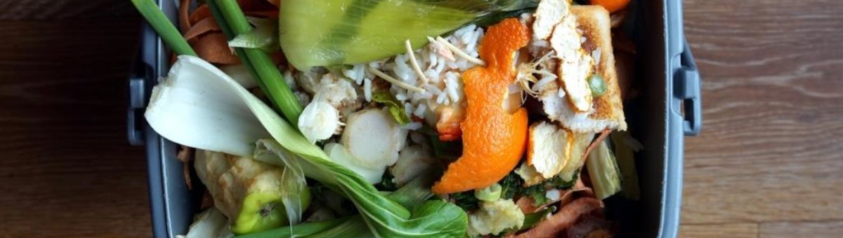 Pentair biogas quality monitoring biosense