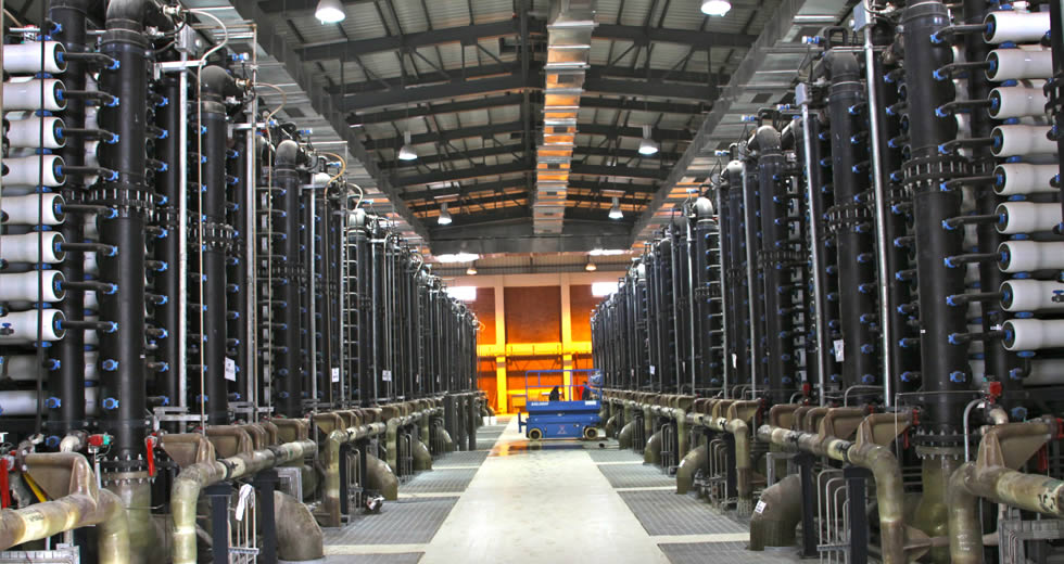 Membrane Elements at plant